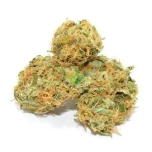 Organic Jack Herer